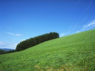 二元一次方程组课件