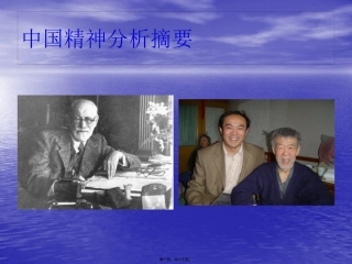 中国精神分析摘要