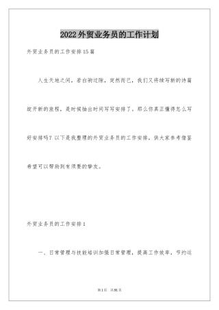 2024外贸业务员的工作计划