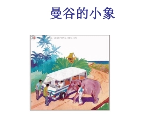 （人教版）三年级语文上册课件曼谷的小象