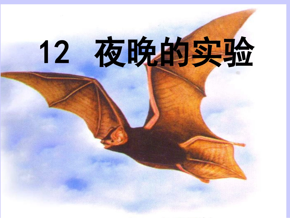 夜晚的实验课件_第1页