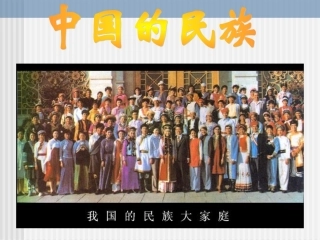 中国的民族9800