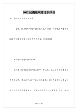 2024团委组织部述职报告