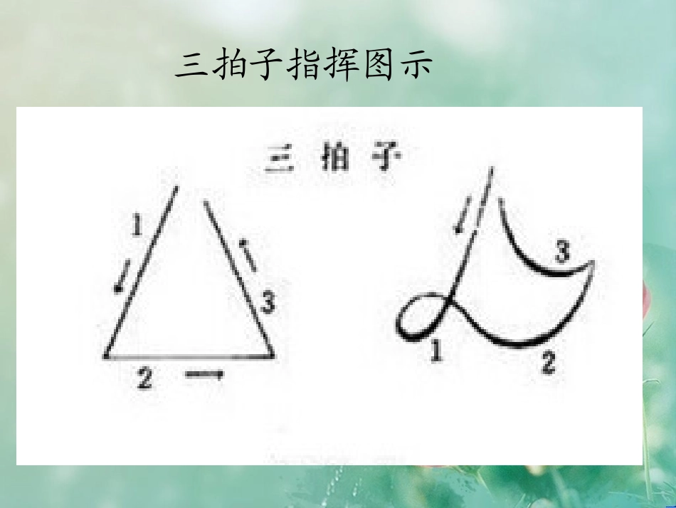 青春友谊圆舞曲_第3页