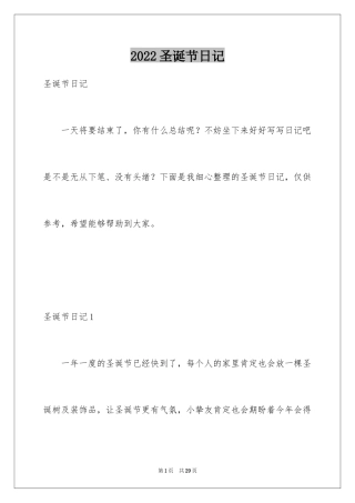2024圣诞节日记_24