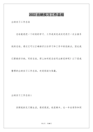 2024出纳实习工作总结