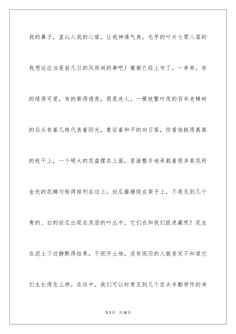 2024夏天一年级作文500字_3_第3页