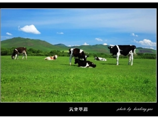 课题3___用过氧化氢制取氧气