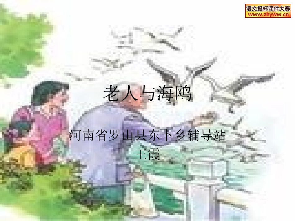 老人与海鸥课件 (4)_第1页