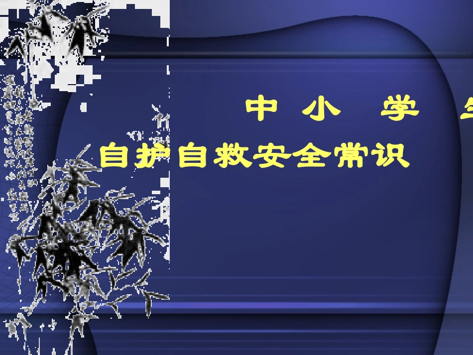 中小学生自护自救安全常识_第1页