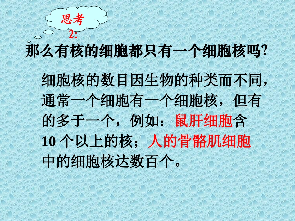 细胞核系统的控制中心_第3页