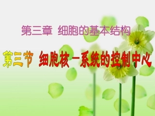细胞核系统的控制中心