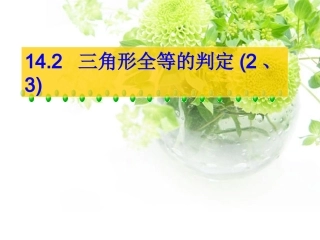 三角形全等的判定ASAAAS