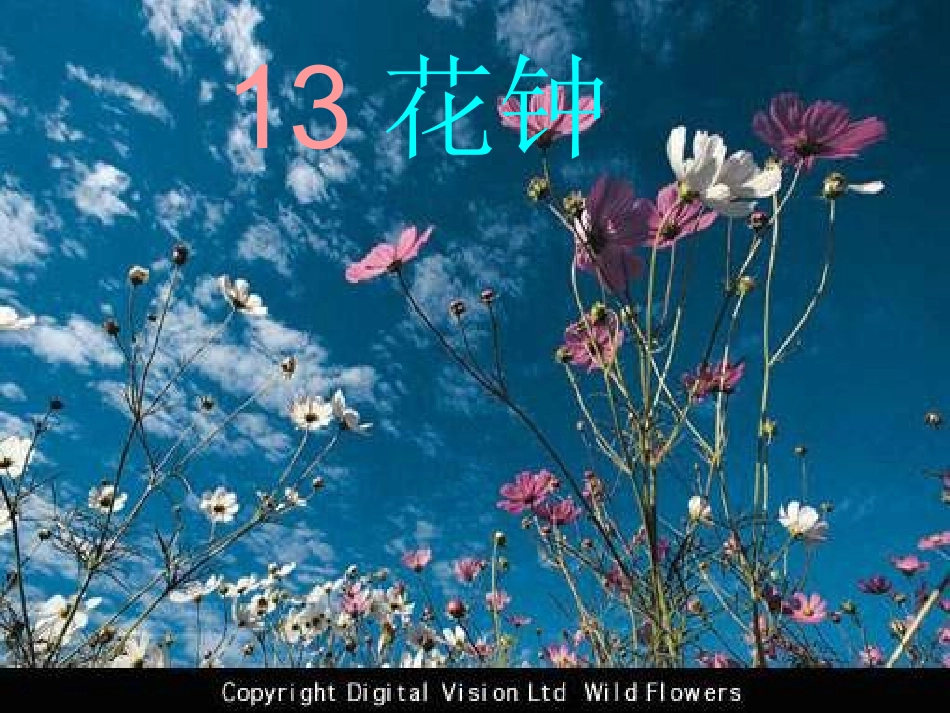 三年级语文花钟1_第1页