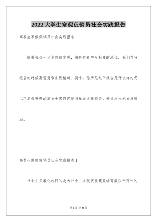 2024大学生寒假促销员社会实践报告_1