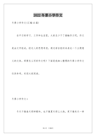 2024冬景小学作文_11