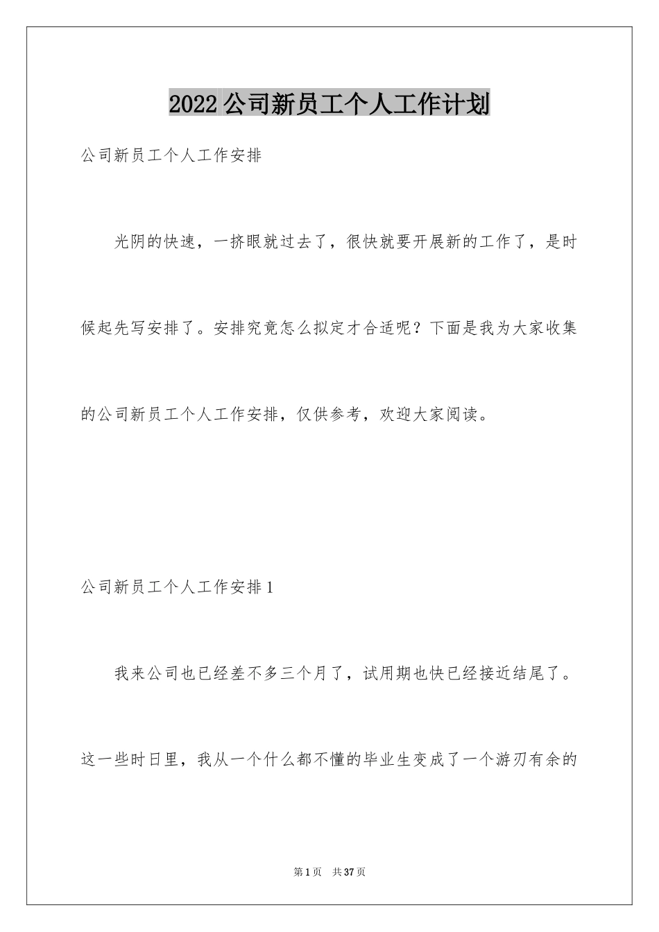 2024公司新员工个人工作计划_6_第1页