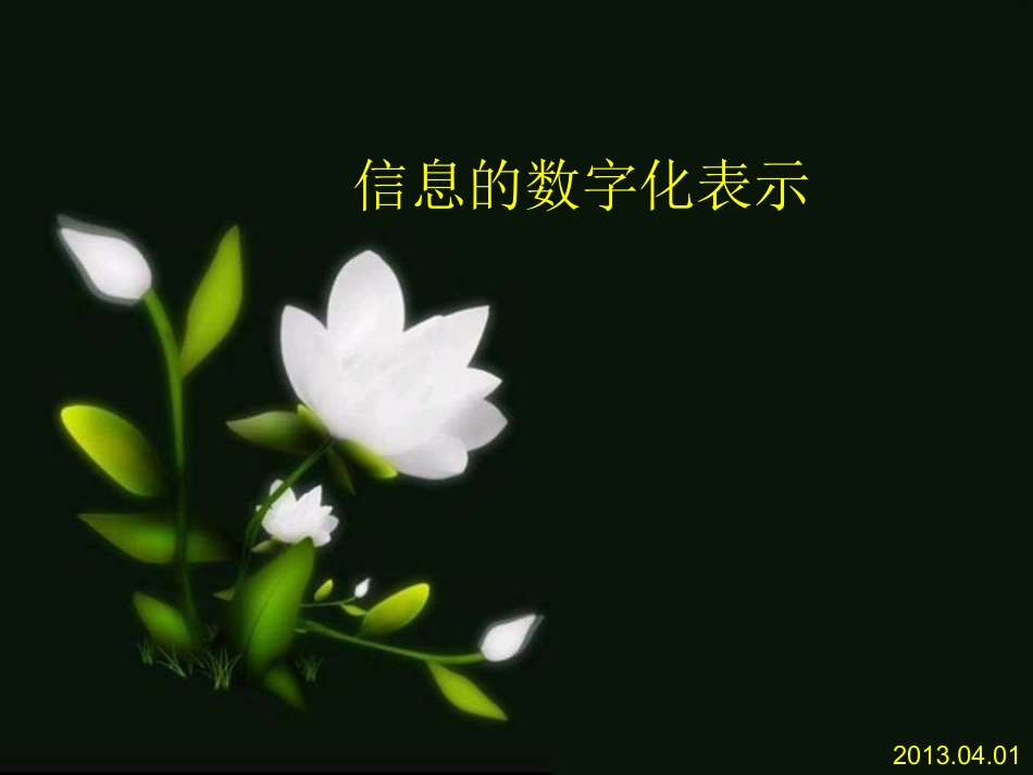 信息的数字化表示_第1页