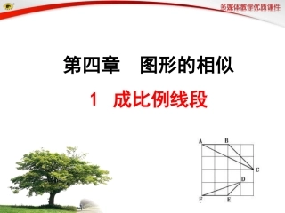 2014最新北师大版九年级课件_成比例线段