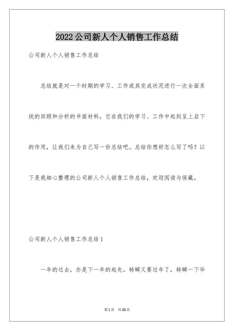 2024公司新人个人销售工作总结_第1页