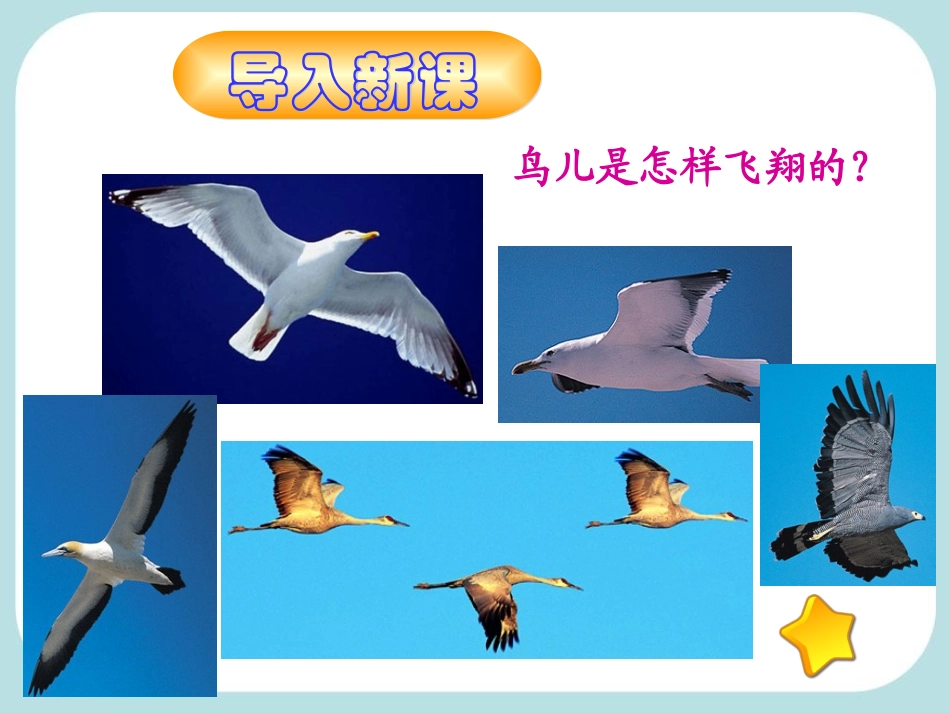 《94流体压强与流速的关系》课件_第1页