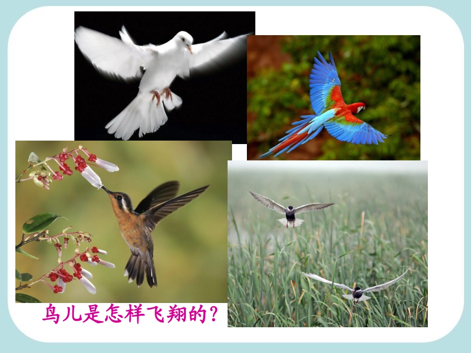 《94流体压强与流速的关系》课件_第2页