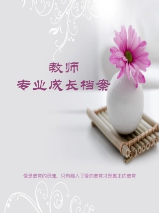 教师成长档案