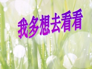 我多想去看看课件