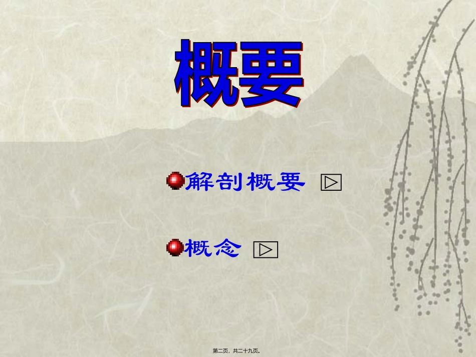 下肢静脉曲张1_第2页