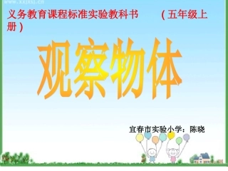 观察物体（一）