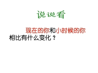 科里亚的木匣PPT