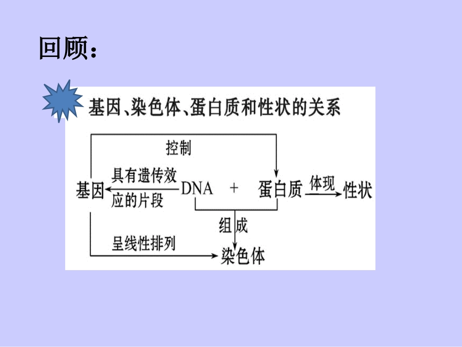 基因的表达-刘亚荣_第2页