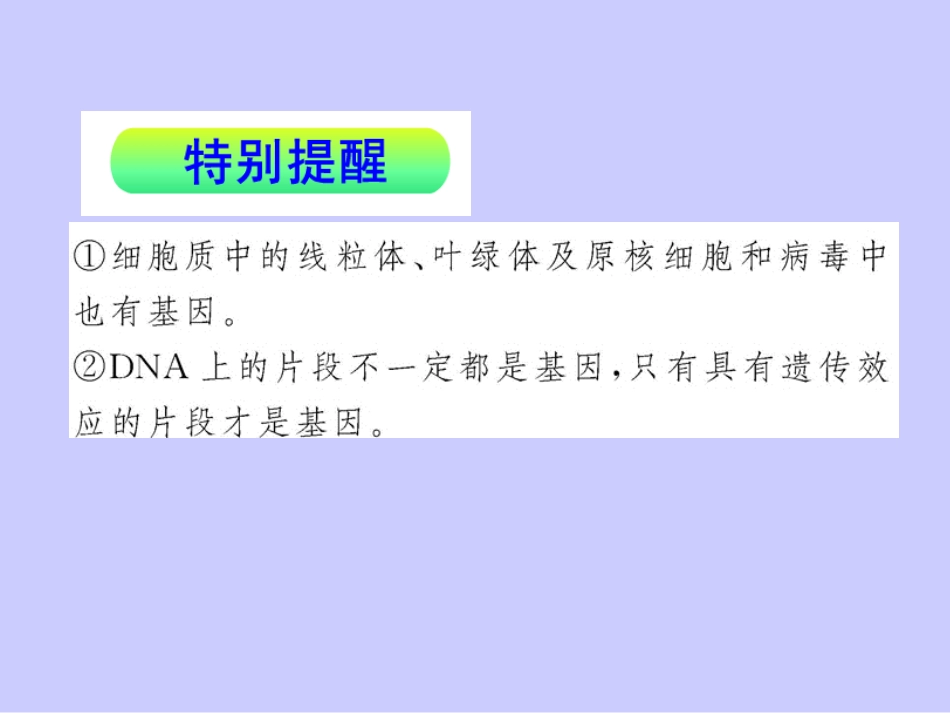 基因的表达-刘亚荣_第3页