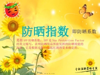 防晒指数讲诉
