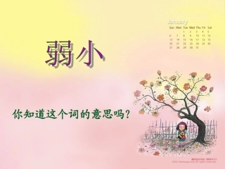 我不是最弱小的 (3)