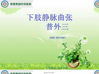 下肢静脉曲张.ppt