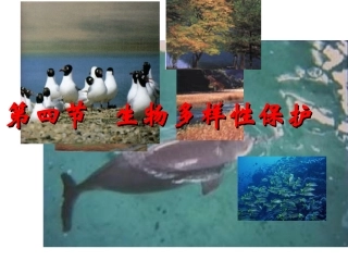 生物多样性保护