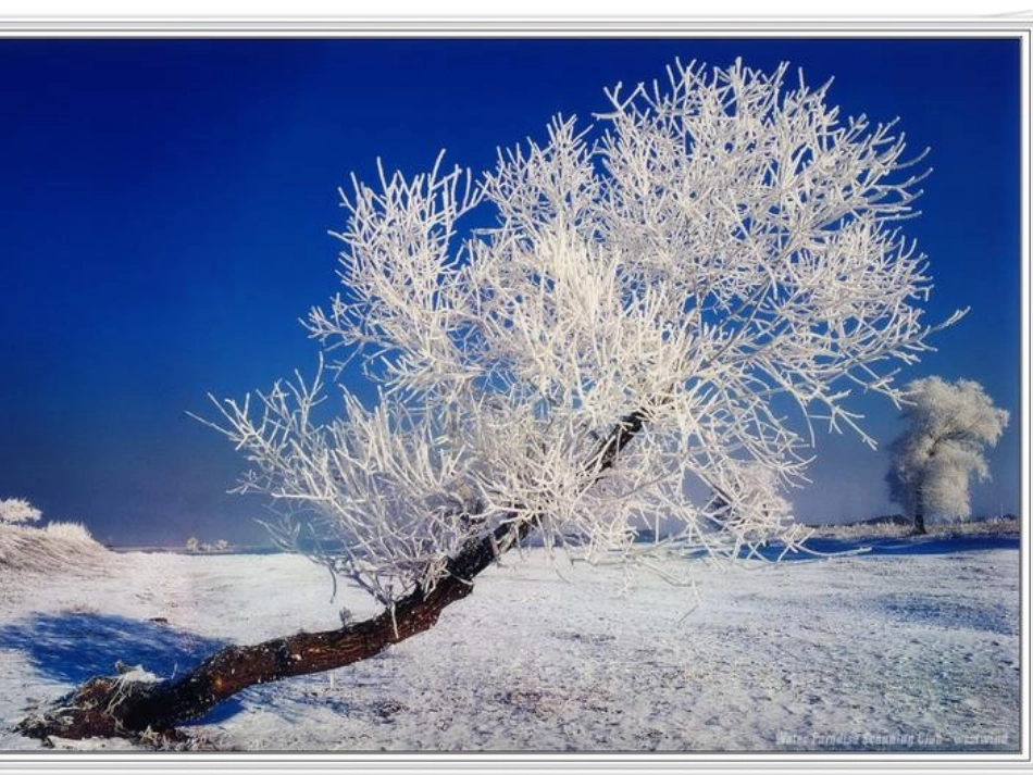 (八年级物理，王转微)_第2页