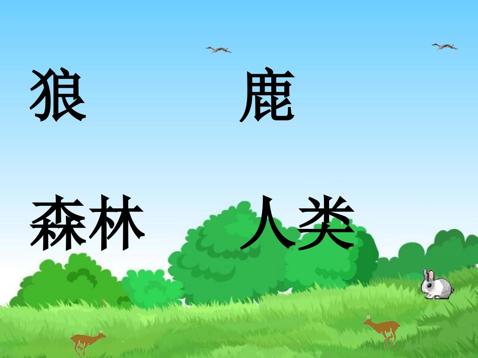狼和鹿教数课件_第2页