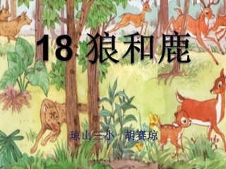 狼和鹿教数课件