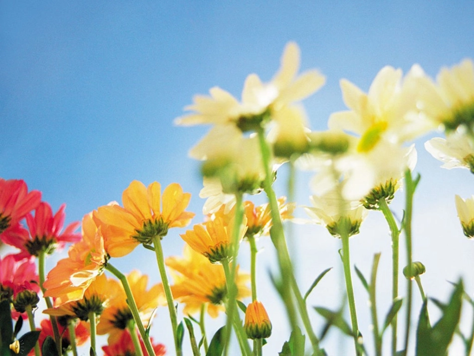 八上积的乘方_第1页