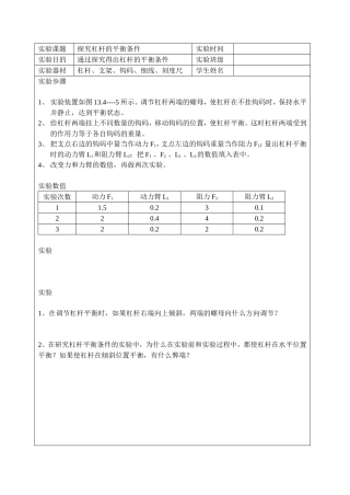杠杆平衡条件实验报告单