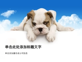宠物狗狗PPT模板