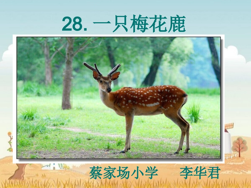一只梅花鹿定稿_第2页