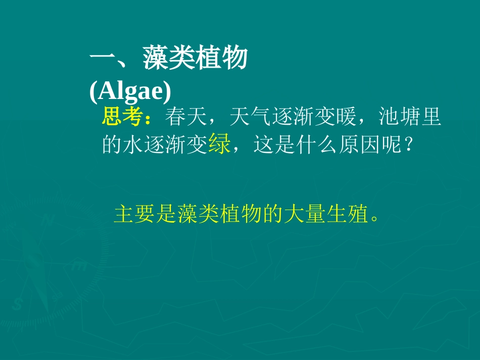 五彩缤纷的植物世界_第2页