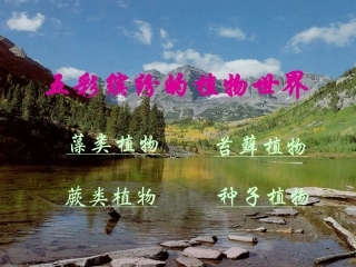 五彩缤纷的植物世界