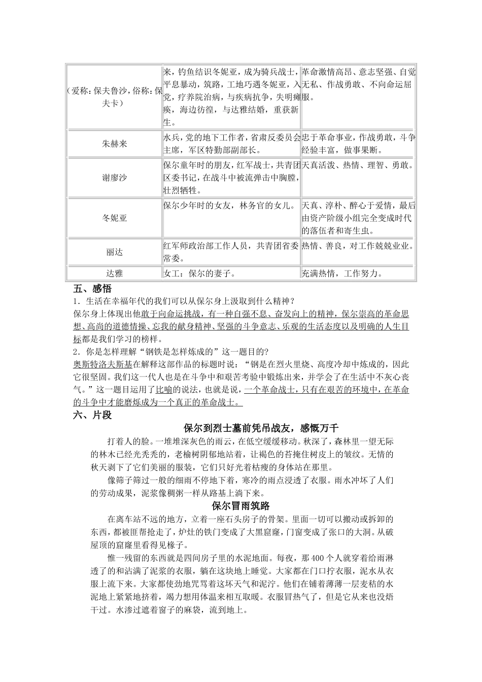 钢铁是怎样炼成的---专题_第3页