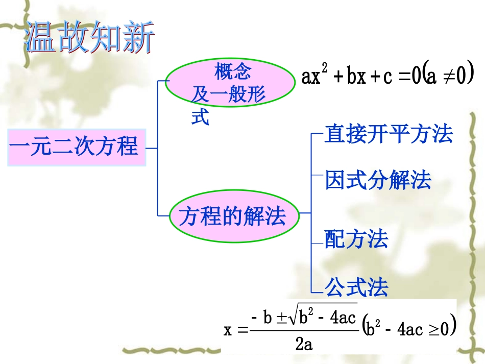 一元二次方程解法复习课_第2页