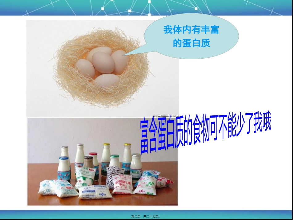 第二章--第2节--生命活动的承担着---蛋白质_第2页