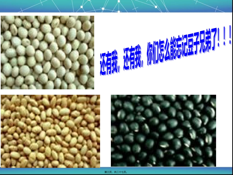 第二章--第2节--生命活动的承担着---蛋白质_第3页